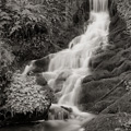 Waterfall, Drury Lane, Galloway, Scotland.